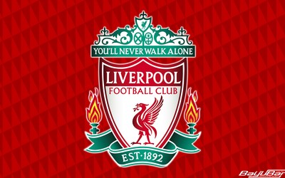 熊猫体育精华-丹麦队防守组织纪律严明